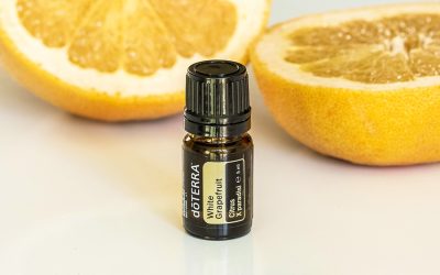 A hónap terméke – Fehér grépfrút (5 ml)