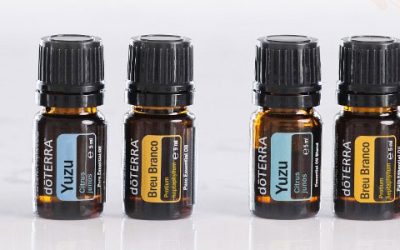 JÚLIUSI ÚJDONSÁGOK