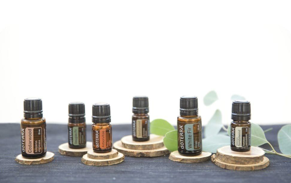 Ismerjük meg a fás olajokat!